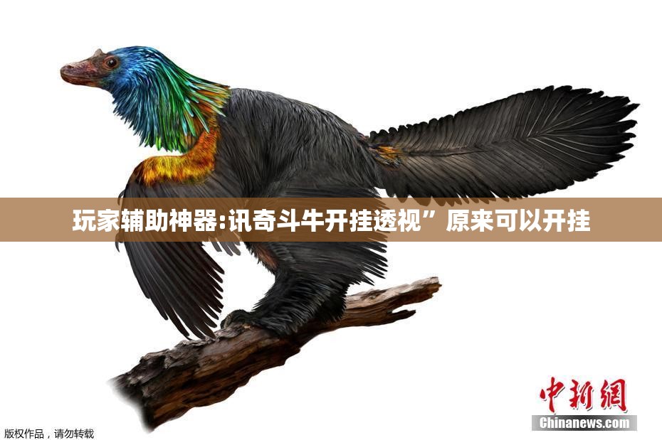 玩家辅助神器:讯奇斗牛开挂透视”原来可以开挂