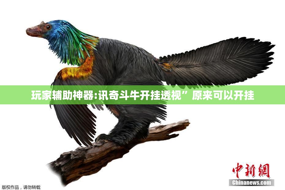 玩家辅助神器:讯奇斗牛开挂透视”原来可以开挂