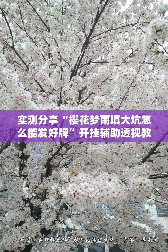 实测分享“樱花梦雨填大坑怎么能发好牌”开挂辅助透视教程