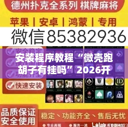 安装程序教程“微壳跑胡子有挂吗”2026开挂教程步骤