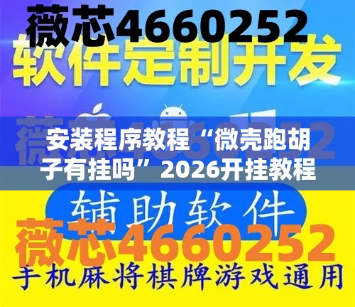 安装程序教程“微壳跑胡子有挂吗”2026开挂教程步骤