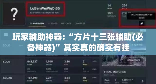 玩家辅助神器:“方片十三张辅助(必备神器)	”其实真的确实有挂