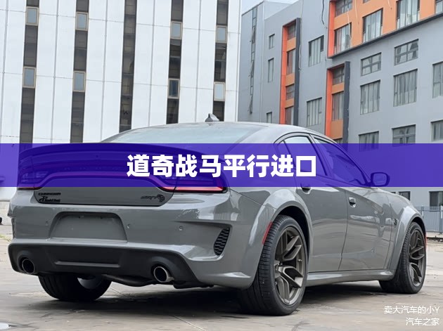 道奇战马平行进口