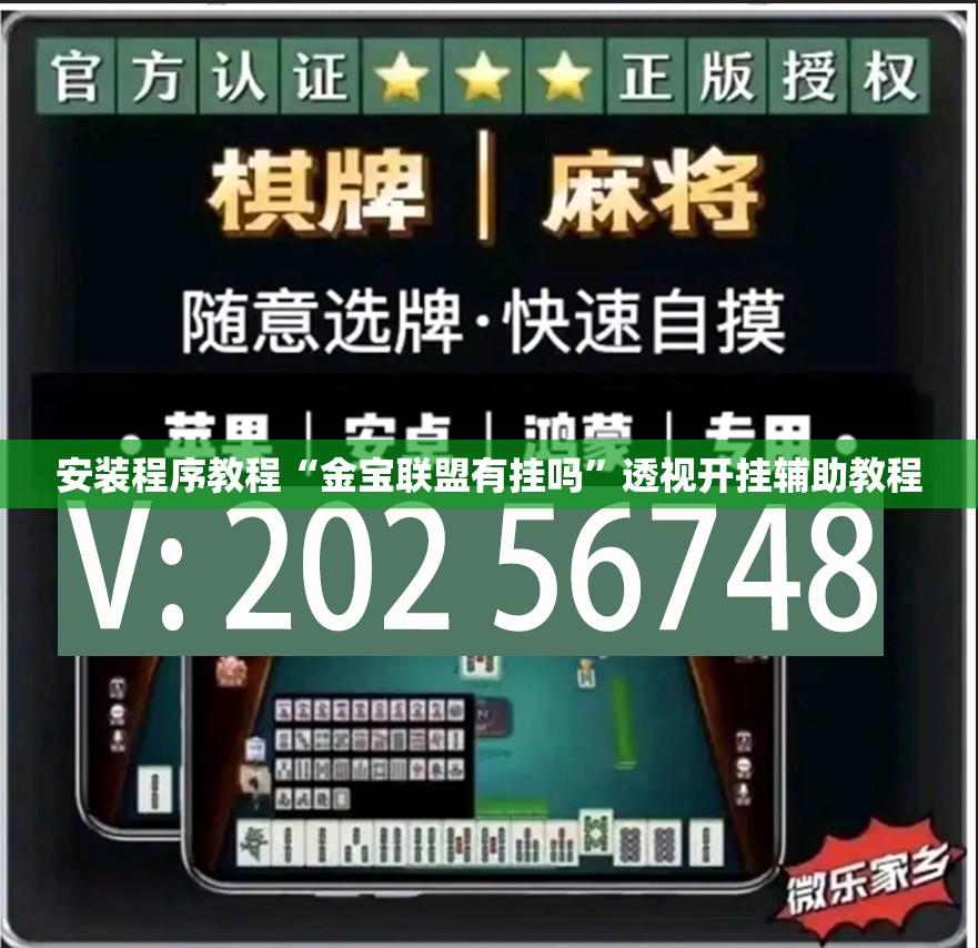 安装程序教程“金宝联盟有挂吗”透视开挂辅助教程