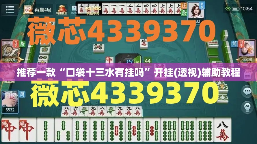 推荐一款“口袋十三水有挂吗”开挂(透视)辅助教程