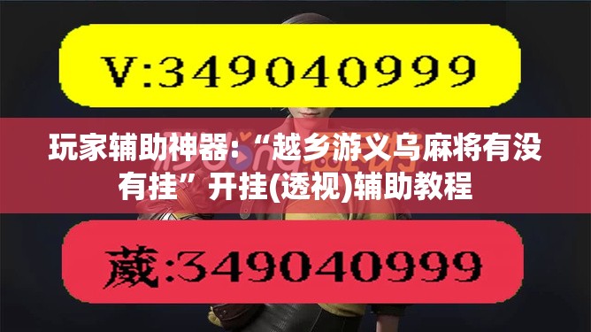 玩家辅助神器:“越乡游义乌麻将有没有挂”开挂(透视)辅助教程