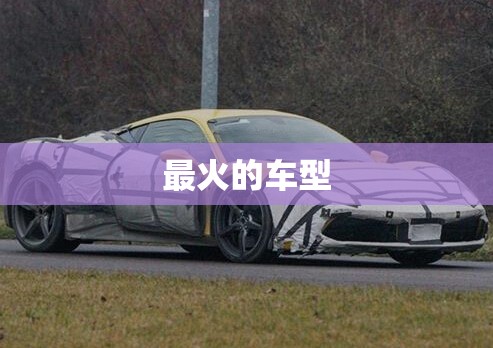 【最火的车型,今年最火的车型】