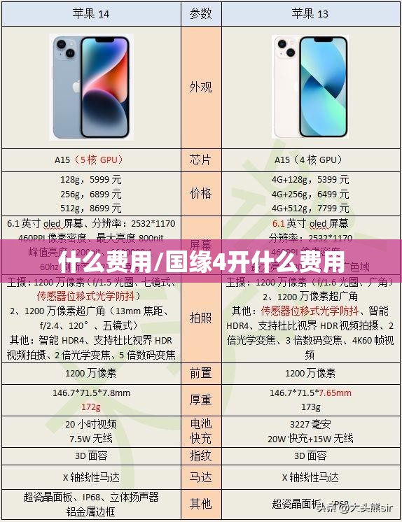 什么费用/国缘4开什么费用