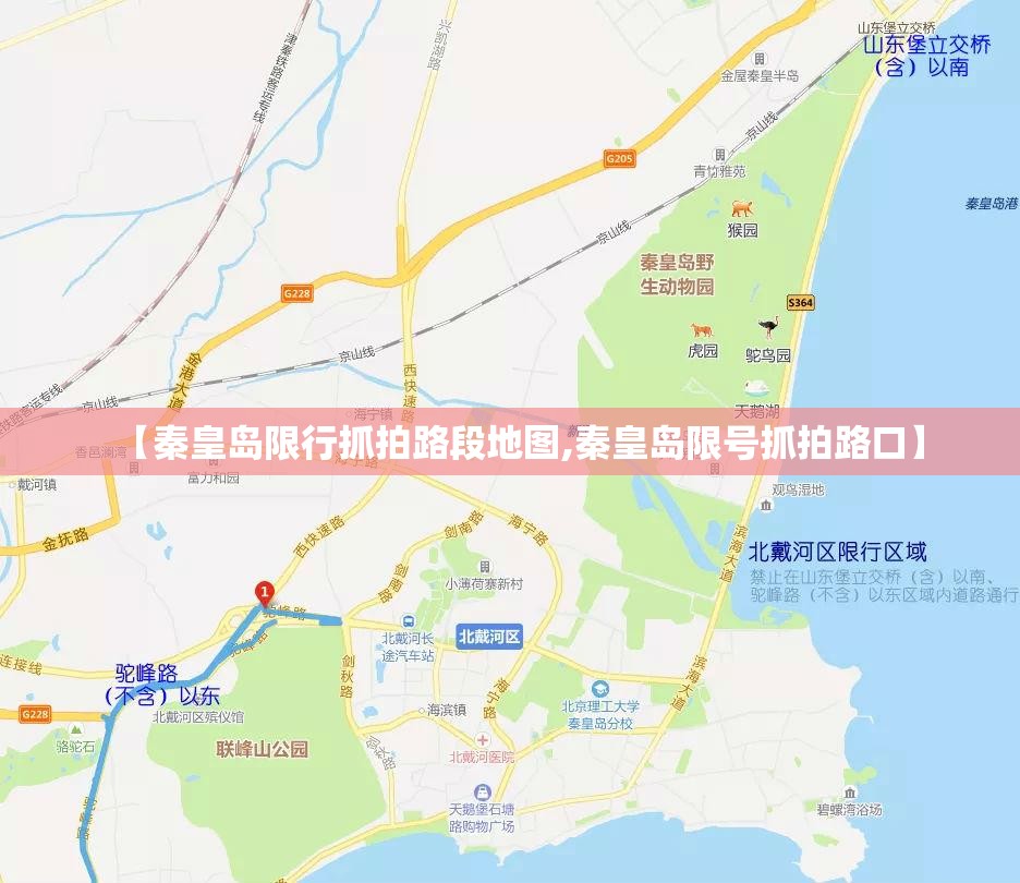 【秦皇岛限行抓拍路段地图,秦皇岛限号抓拍路口】