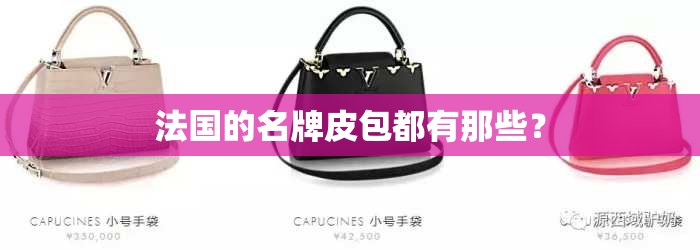 法国的名牌皮包都有那些？