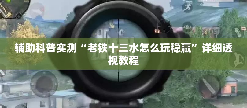 辅助科普实测“老铁十三水怎么玩稳赢”详细透视教程