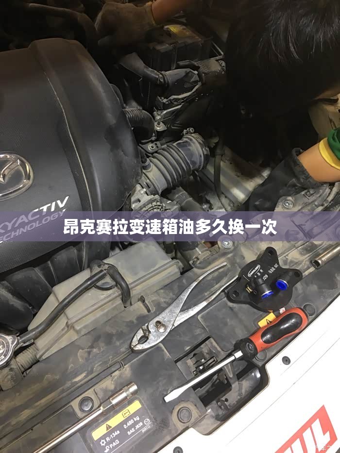 昂克赛拉变速箱油多久换一次/昂克赛拉变速箱油多久换一次,一次多钱? 昂克赛拉变速箱油多久换一次/昂克赛拉变速箱油多久换一次,一次多钱?