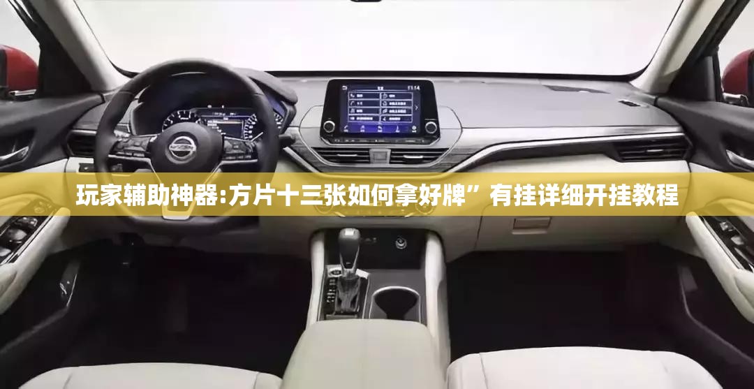 玩家辅助神器:方片十三张如何拿好牌”有挂详细开挂教程