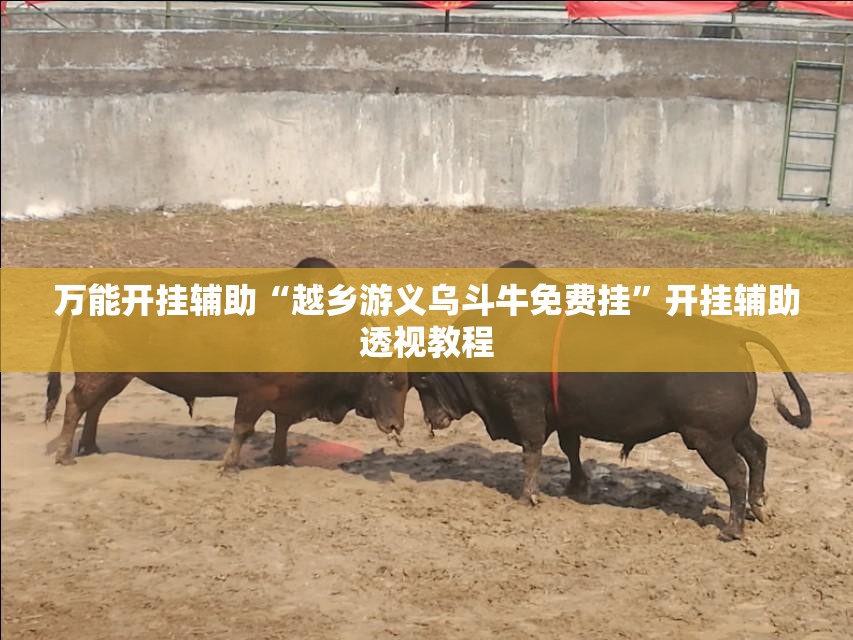 万能开挂辅助“越乡游义乌斗牛免费挂”开挂辅助透视教程
