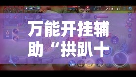 万能开挂辅助“拱趴十三水可以开挂吗”详细透视教程