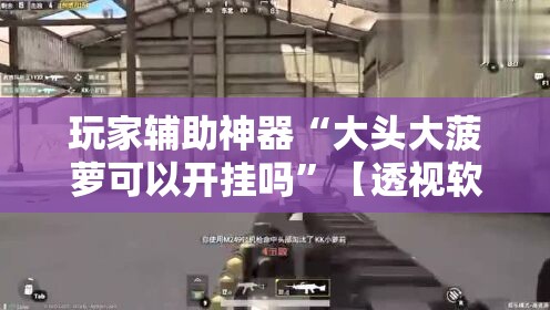 玩家辅助神器“大头大菠萝可以开挂吗	”【透视软件教程分享】
