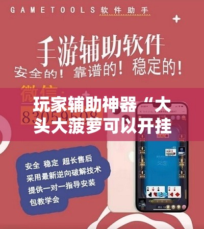 玩家辅助神器“大头大菠萝可以开挂吗	”【透视软件教程分享】