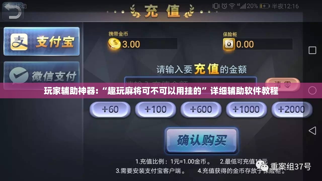 玩家辅助神器:“趣玩麻将可不可以用挂的”详细辅助软件教程