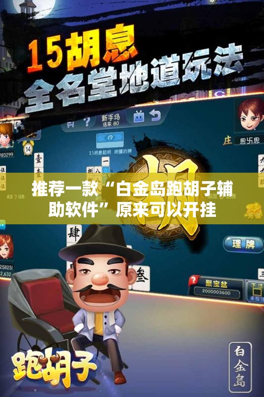 推荐一款“白金岛跑胡子辅助软件”原来可以开挂
