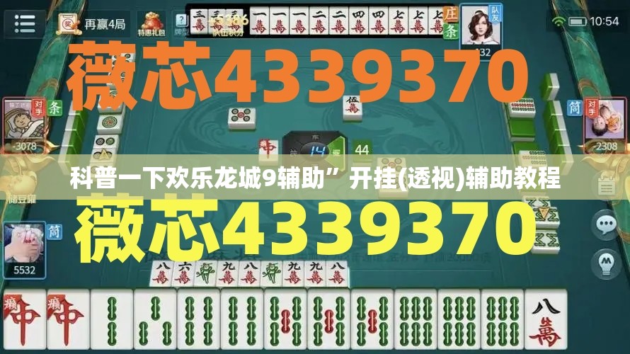 科普一下欢乐龙城9辅助”开挂(透视)辅助教程