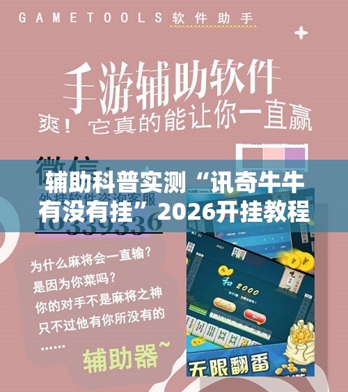 辅助科普实测“讯奇牛牛有没有挂”2026开挂教程步骤