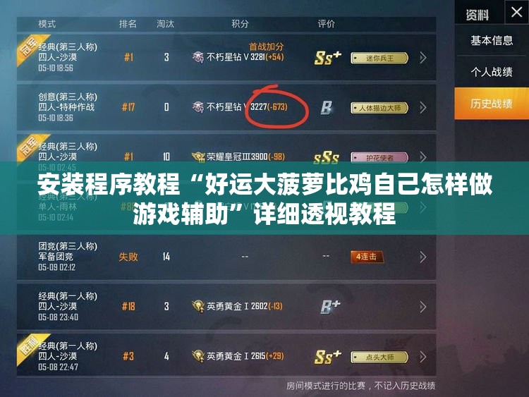 安装程序教程“好运大菠萝比鸡自己怎样做游戏辅助”详细透视教程
