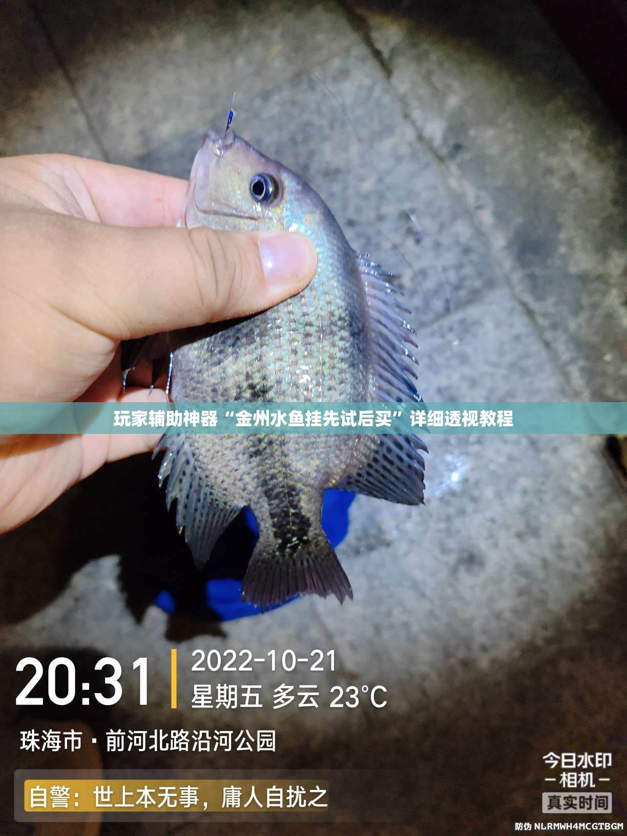 玩家辅助神器“金州水鱼挂先试后买”详细透视教程
