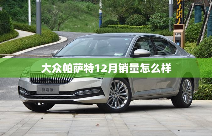 大众帕萨特12月销量怎么样