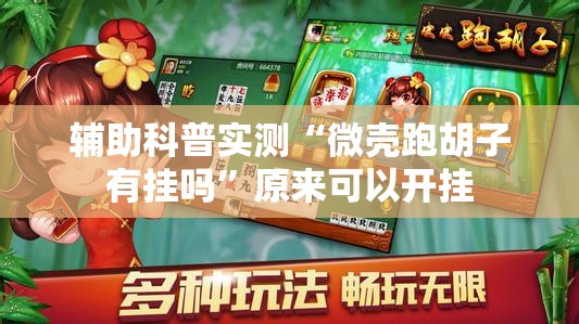 辅助科普实测“微壳跑胡子有挂吗”原来可以开挂