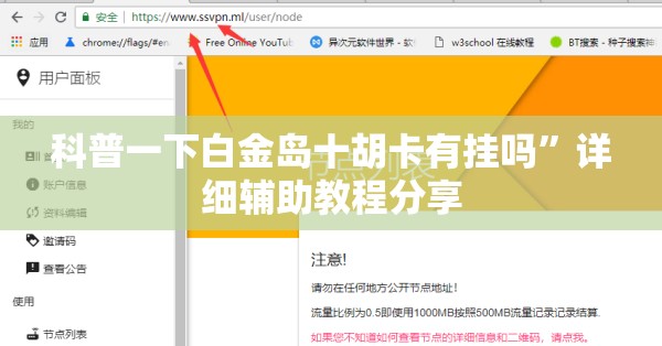 科普一下白金岛十胡卡有挂吗	”详细辅助教程分享