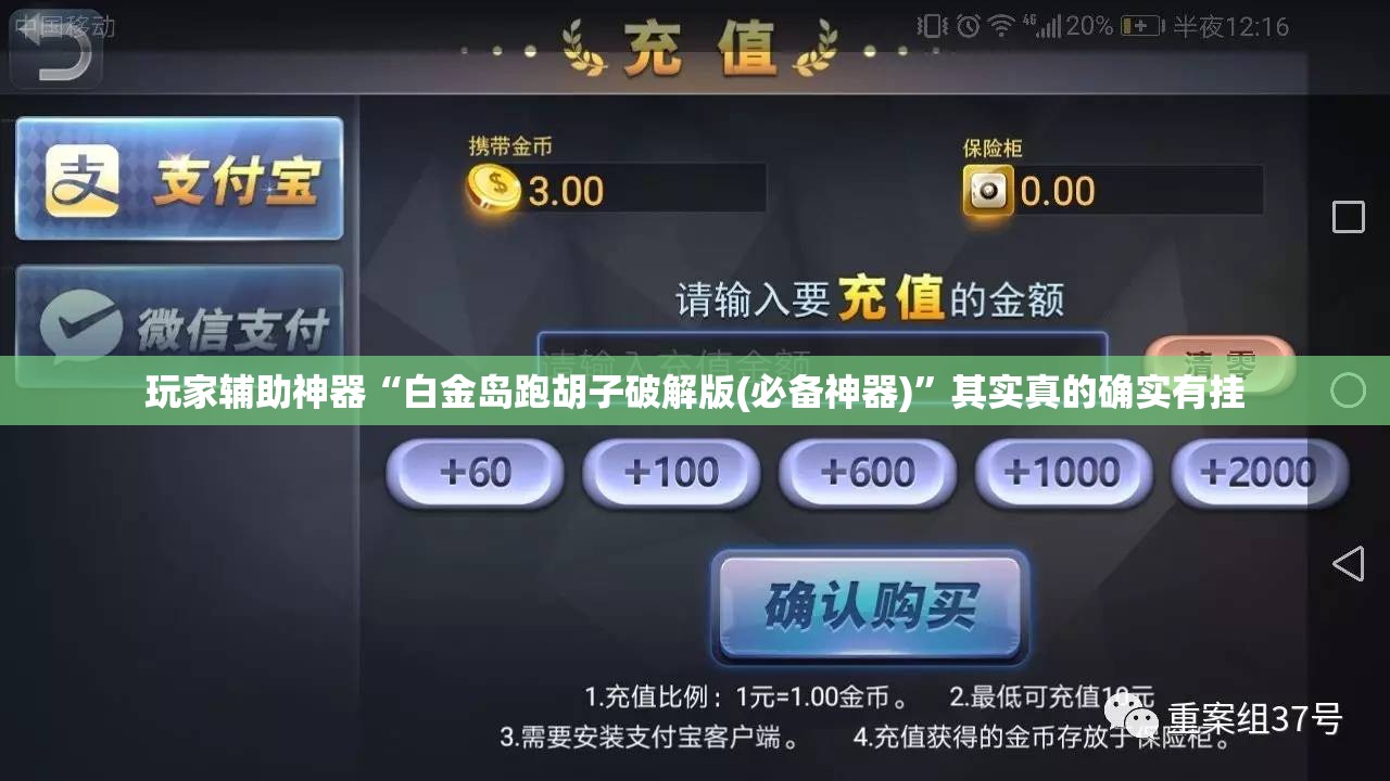 玩家辅助神器“白金岛跑胡子破解版(必备神器)	”其实真的确实有挂