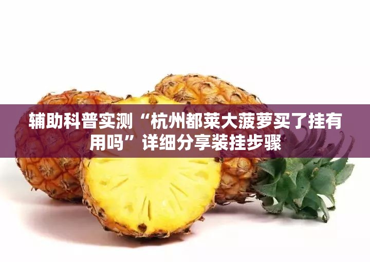 辅助科普实测“杭州都莱大菠萝买了挂有用吗”详细分享装挂步骤