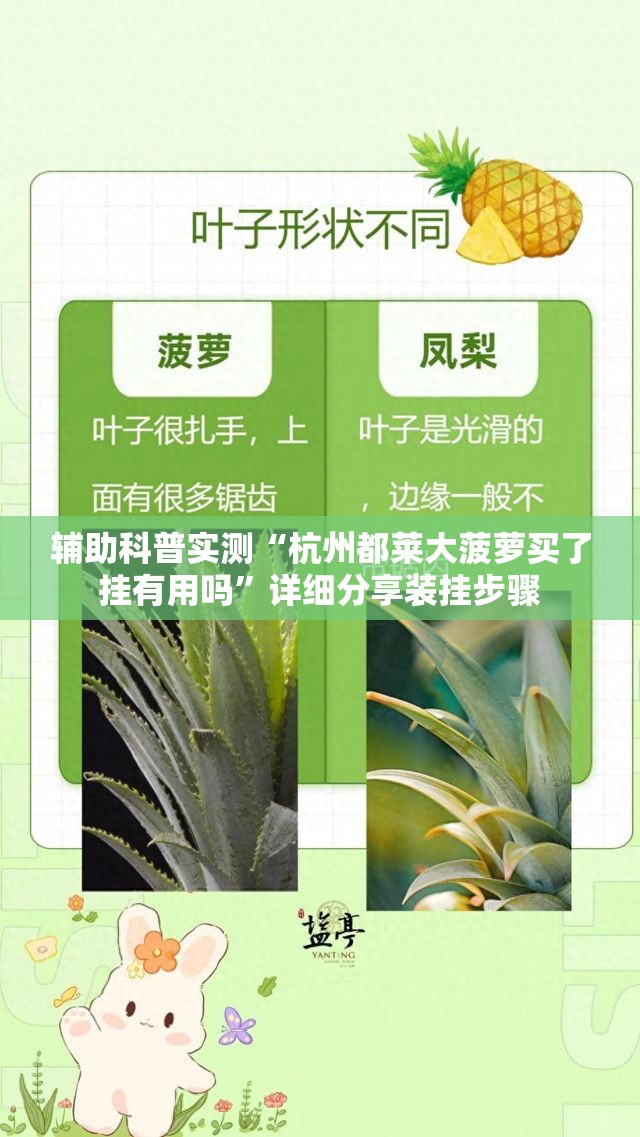 辅助科普实测“杭州都莱大菠萝买了挂有用吗	”详细分享装挂步骤