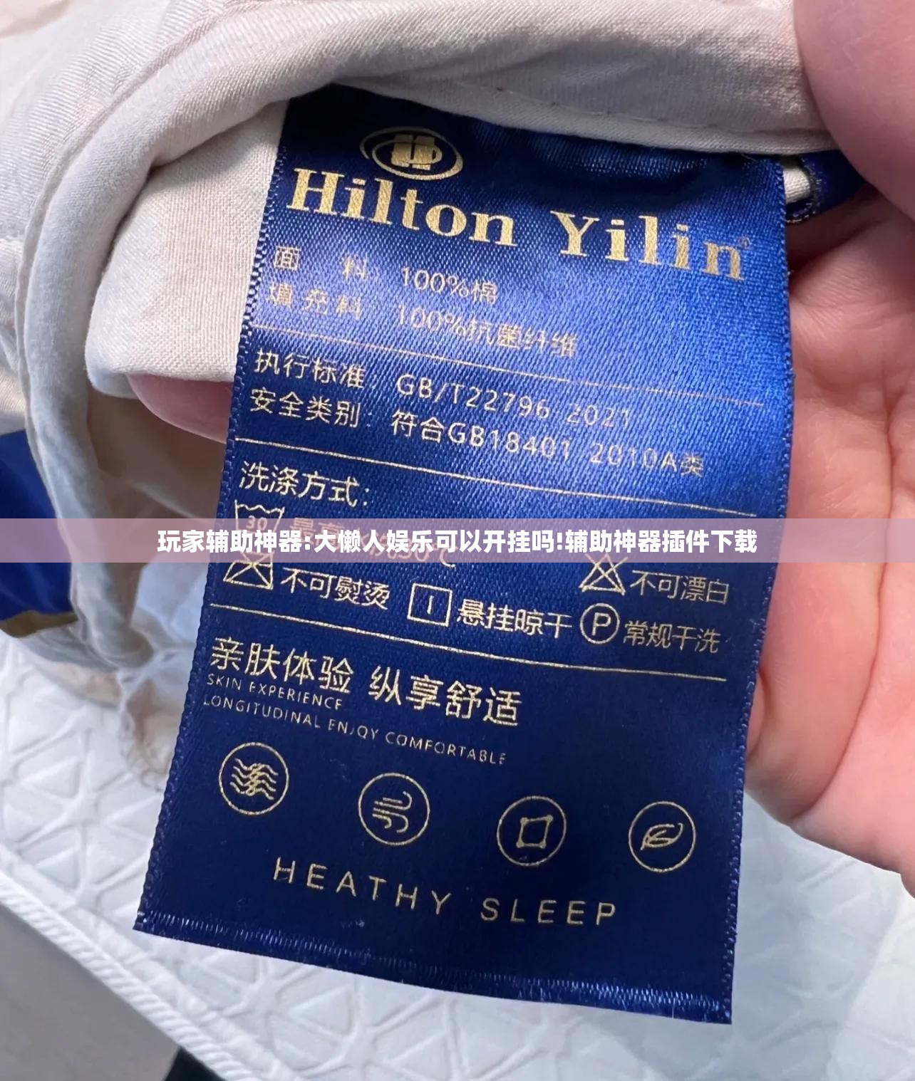 玩家辅助神器:大懒人娱乐可以开挂吗!辅助神器插件下载