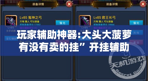 玩家辅助神器:大头大菠萝有没有卖的挂”开挂辅助透视教程