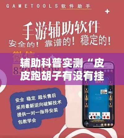辅助科普实测“皮皮跑胡子有没有挂	”开挂辅助透视教程