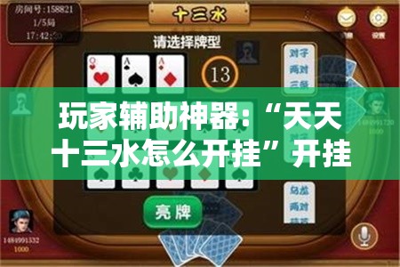 玩家辅助神器:“天天十三水怎么开挂	”开挂辅助透视教程