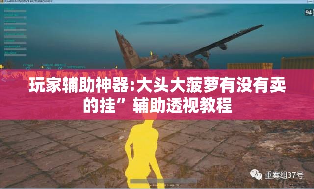玩家辅助神器:大头大菠萝有没有卖的挂	”辅助透视教程
