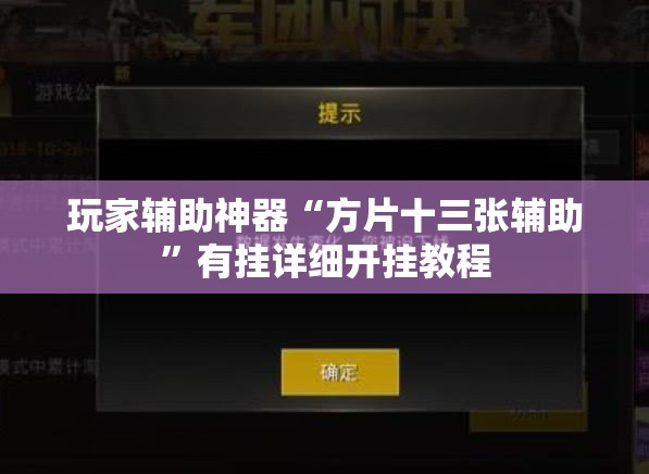 玩家辅助神器“方片十三张辅助	”有挂详细开挂教程