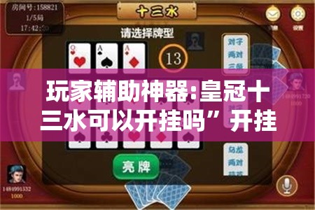 玩家辅助神器:皇冠十三水可以开挂吗	”开挂辅助透视教程