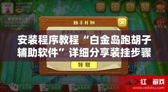 安装程序教程“白金岛跑胡子辅助软件	”详细分享装挂步骤