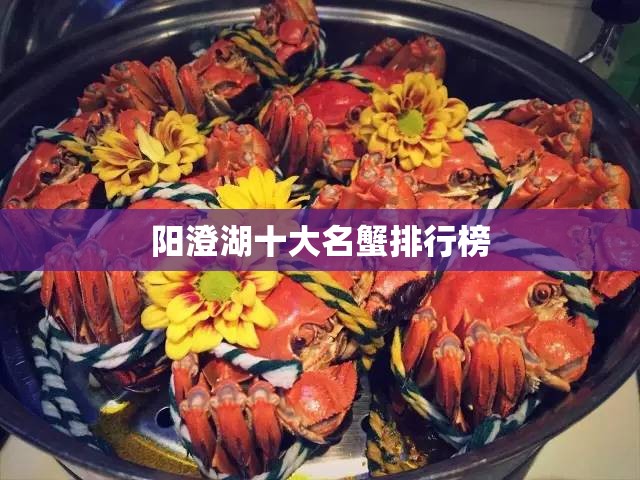 阳澄湖十大名蟹排行榜 阳澄湖十大名蟹排行榜