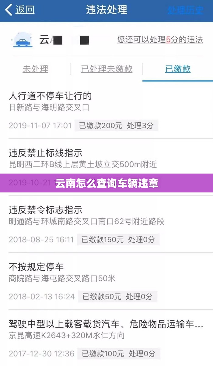 云南怎么查询车辆违章(云南交通违章查询)