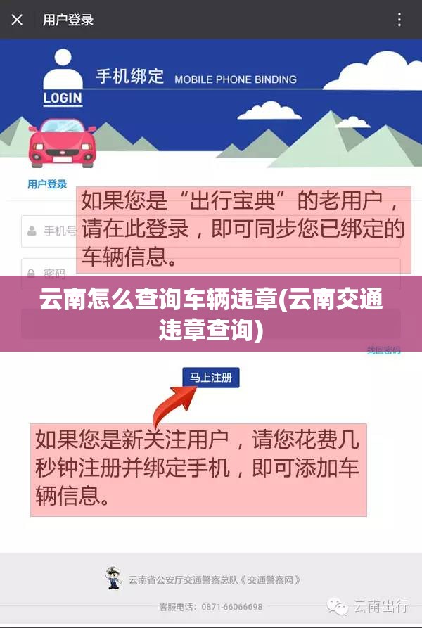 云南怎么查询车辆违章(云南交通违章查询)