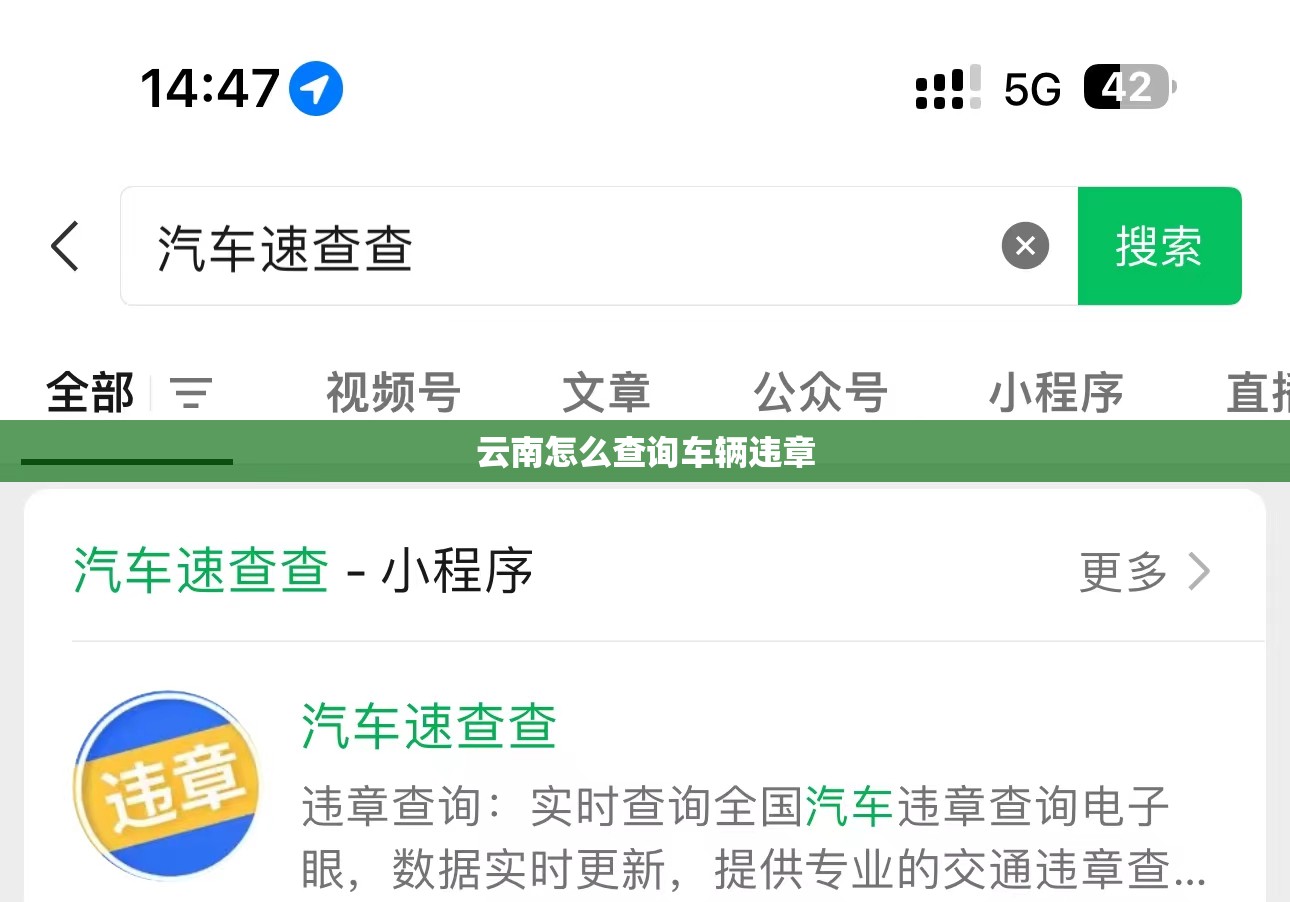 云南怎么查询车辆违章(云南交通违章查询)