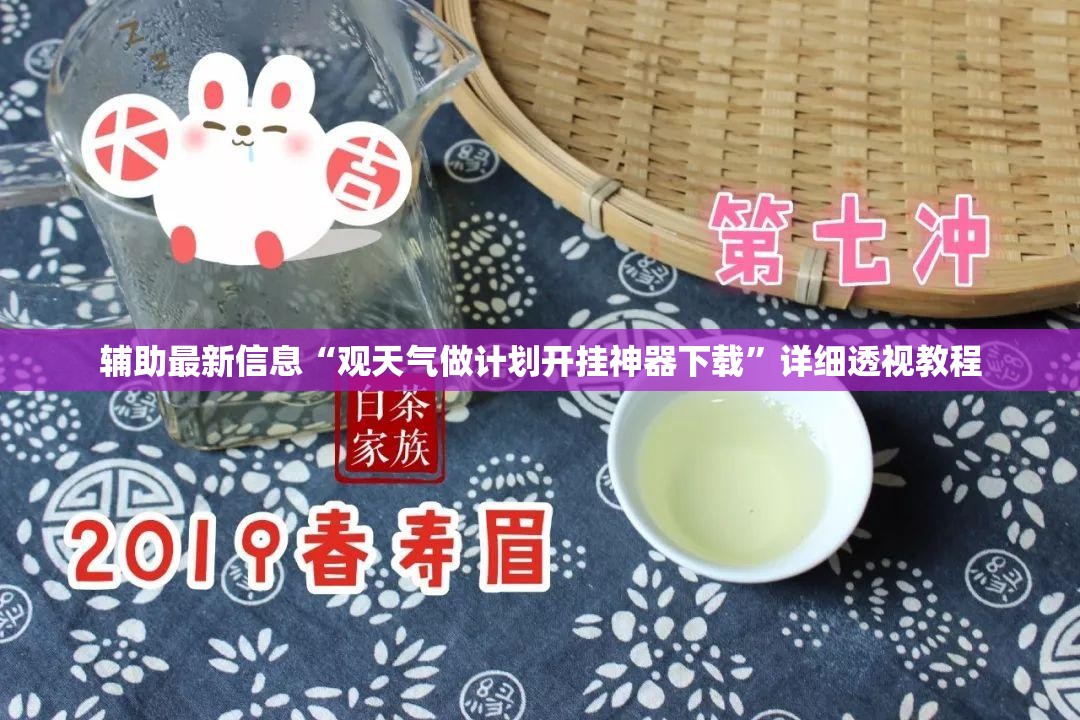 辅助最新信息“观天气做计划开挂神器下载”详细透视教程