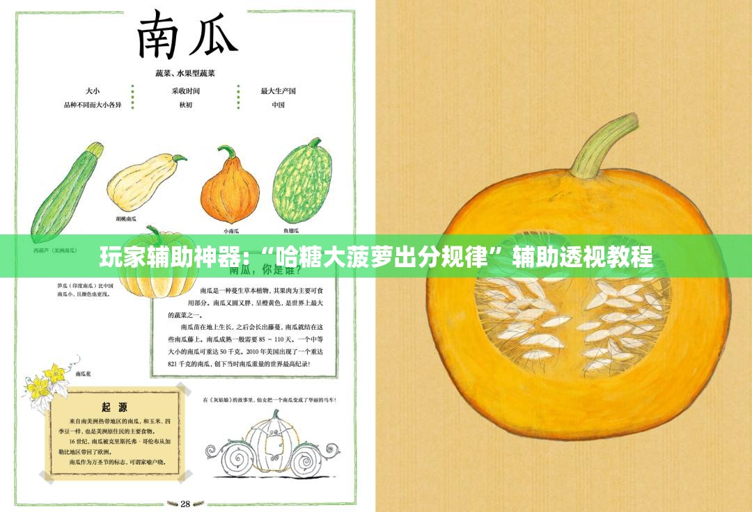 玩家辅助神器:“哈糖大菠萝出分规律”辅助透视教程