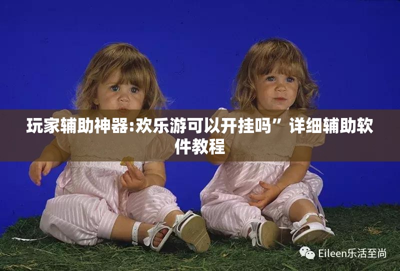 玩家辅助神器:欢乐游可以开挂吗”详细辅助软件教程