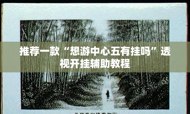 推荐一款“想游中心五有挂吗”透视开挂辅助教程