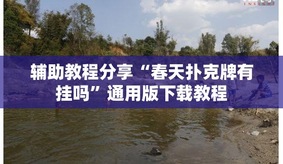 辅助教程分享“春天扑克牌有挂吗	”通用版下载教程